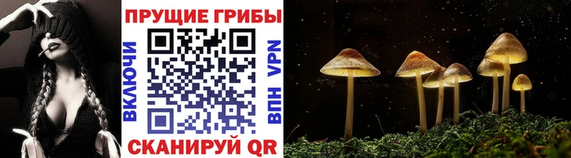Псилоцибиновые грибы мицелий  Вольск 